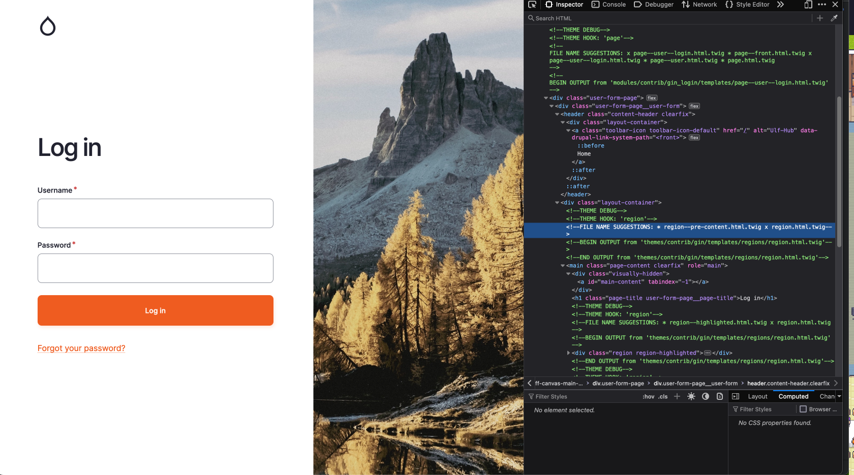 A screenshot from the gin_login screen with inspector.