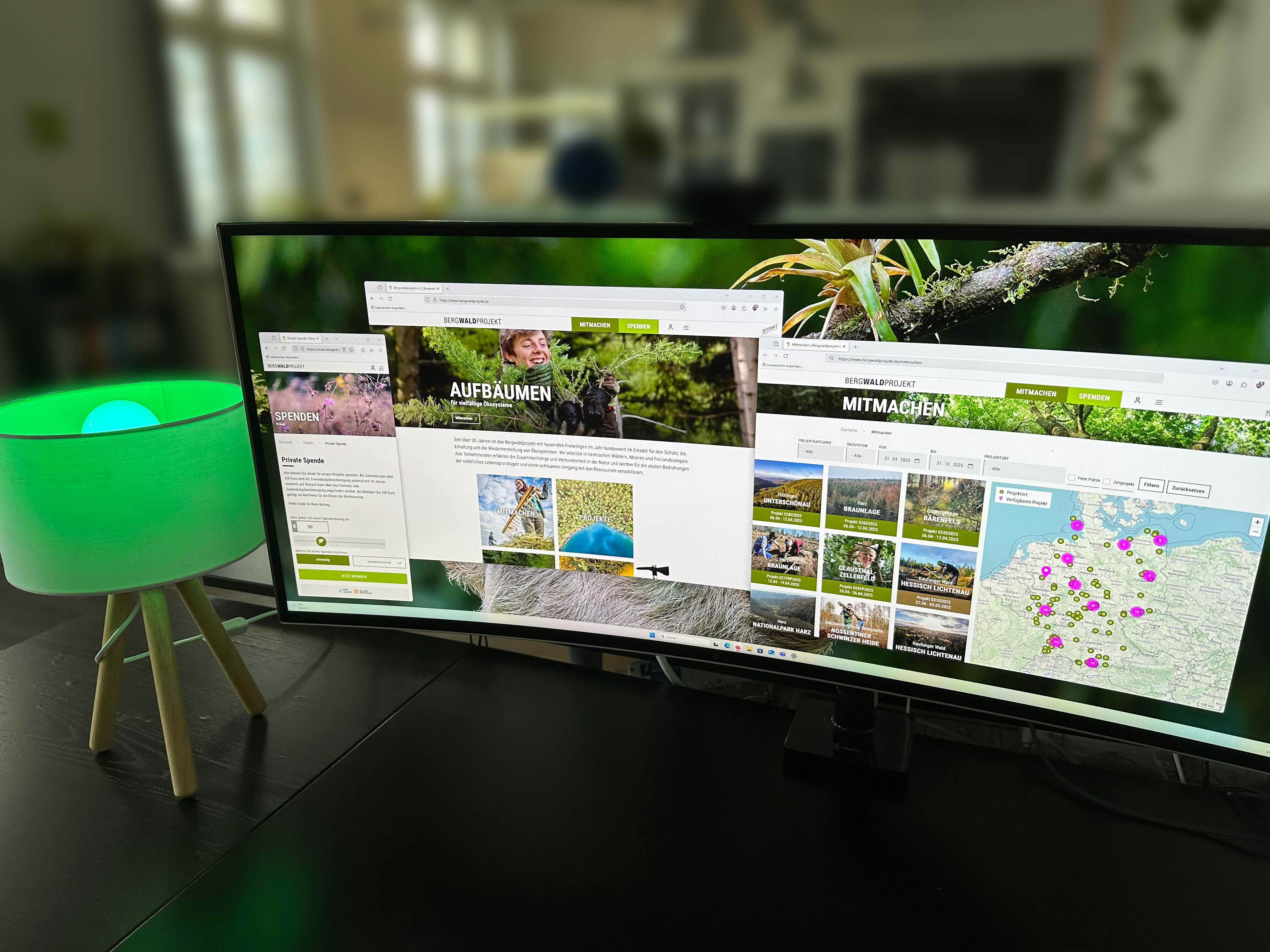 Digitale Stärkung für den Klimaschutz: Relaunch der Bergwaldprojekt e.V. Website