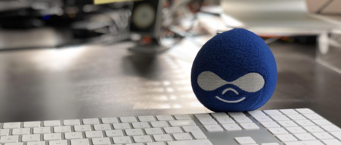 Druplicon auf Schreibtisch