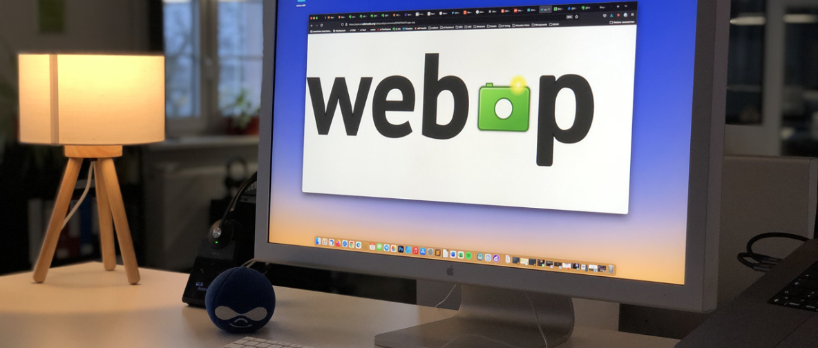 WebP Header