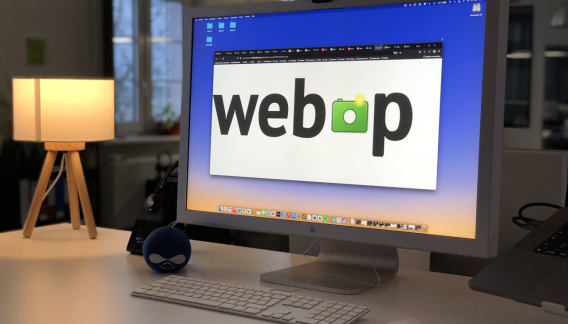 WebP Header