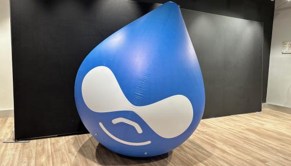 Drupal Mascott