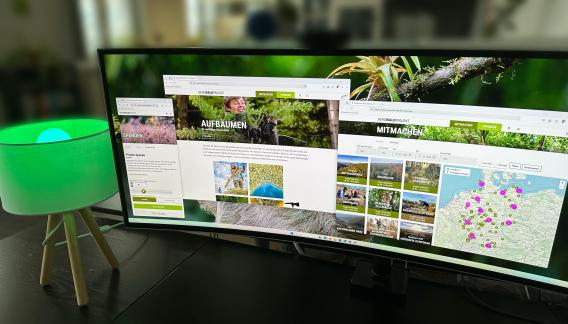 Startseite der neuen Bergwaldprojekt-Website mit zielgruppenspezifischer Nutzerführung, großflächigen Naturfotos und naturverbundenem Design.