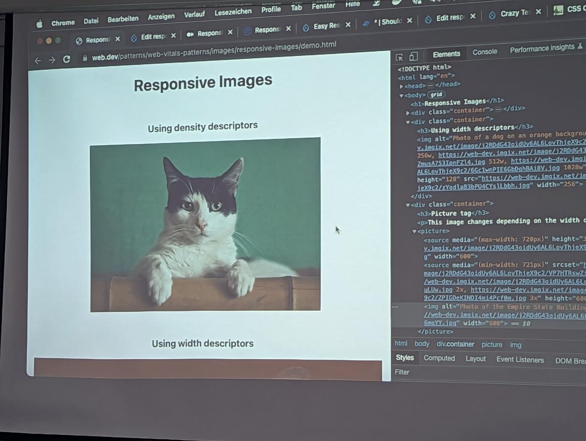 Inhalt eines Beamerbildes, welches ein Katzenfoto und den dazugehörigen HTML- und CSS-Code zeigt