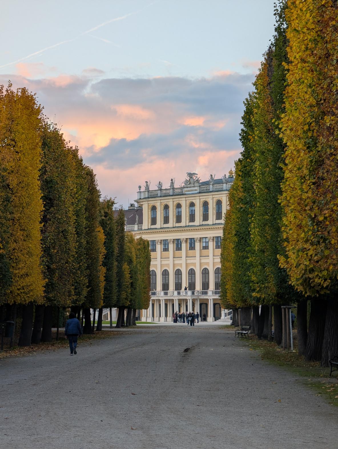 Schloss Schönbrunn Wien zwischen Bäumen