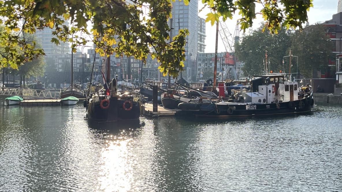 Schiffe im innerstädtischen Hafen von Rotterdam mit Gebäuden im Hintergrund bei Sonnenschein.